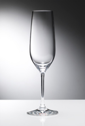 HBAオフィシャル規定グラス - シャンパン・フリュート 6個セット